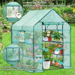 Greenhouse for Outdoors with Durable PE Cover Greenhouse for Outdoors with Durable PE Cover 2