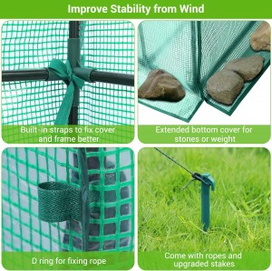 Greenhouse for Outdoors with Durable PE Cover Greenhouse for Outdoors with Durable PE Cover 5