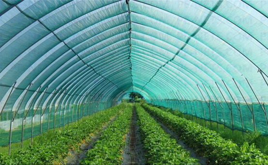 How to choose Shade Net?