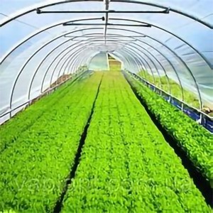 20 Mil Clear Heavy-Duty Vinyl PVC Tarpaulin for Patio PVC clear tarp-application 2