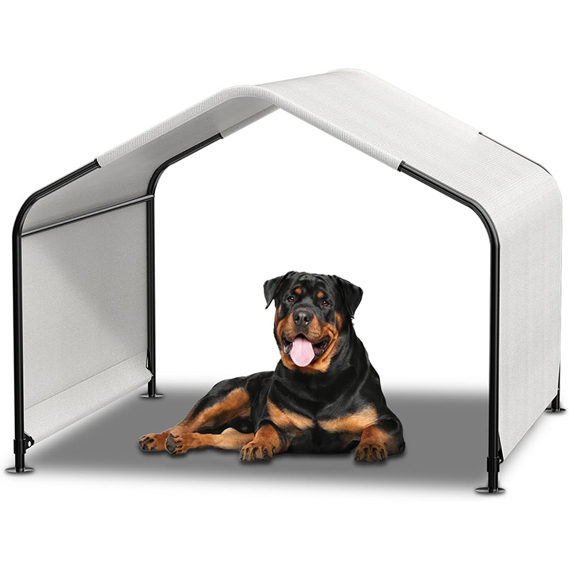 Outdoor Dog House