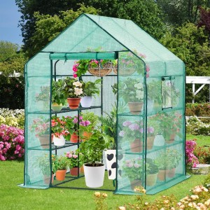 Greenhouse for Outdoors with Durable PE Cover Greenhouse for Outdoors with Durable PE Cover 6