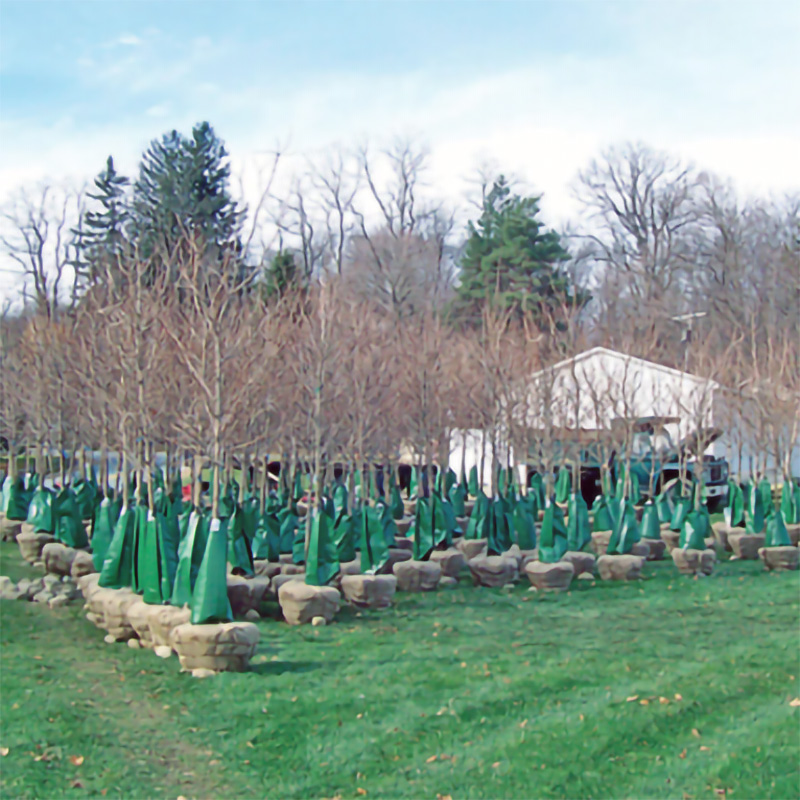 Tree Watering Bag (2)